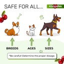cat-uti-treatment-to-care-for-kidneys-an-71+5sIvPjUL.jpg