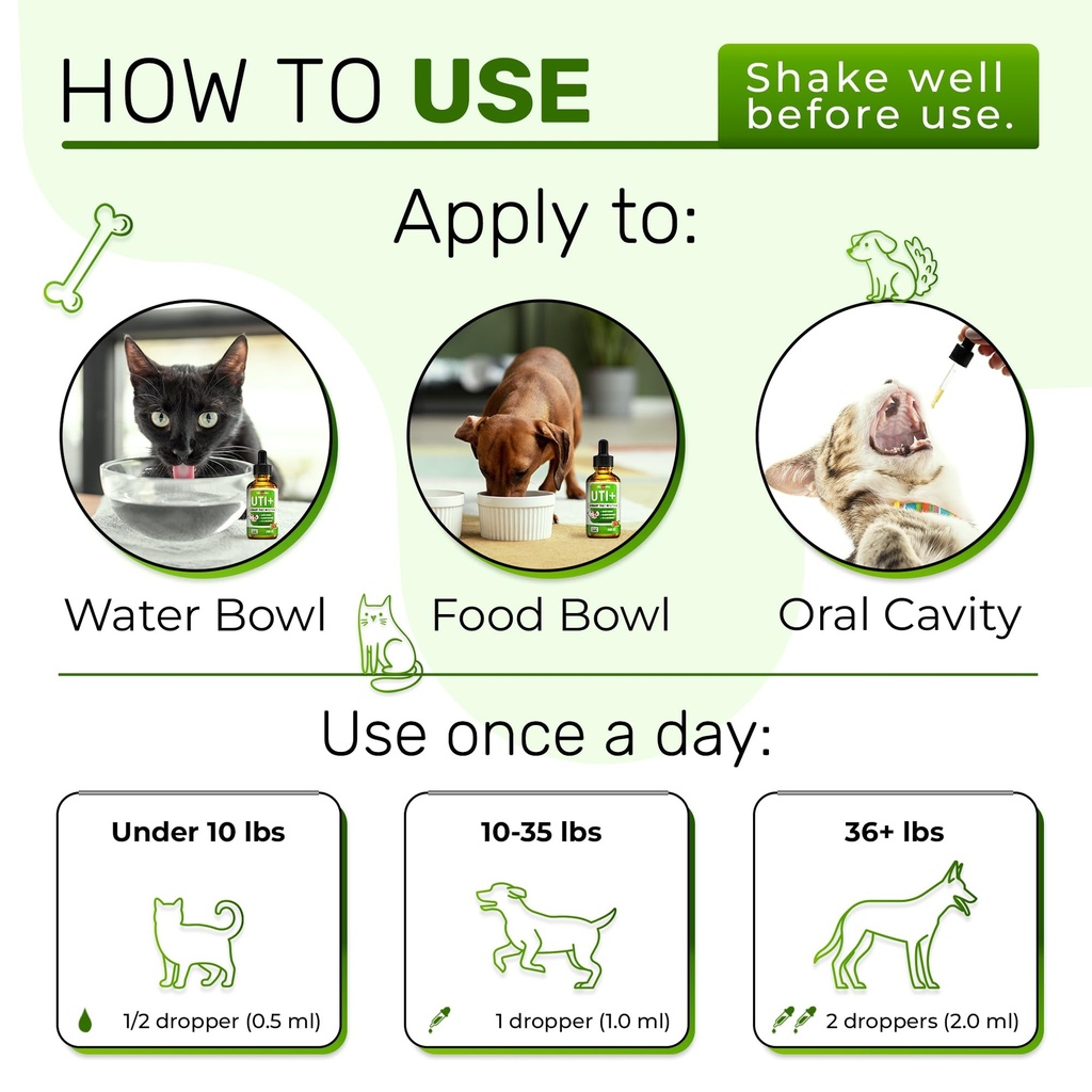 cat-uti-treatment-to-care-for-kidneys-an-71tOFxPmaUL.jpg