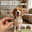 dog-probiotics-2b-cfu-6-strain-for-gut-h-81ULoO+YF0L.jpg