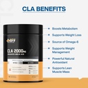 myfitfuel-cla-2000mg-180-softgels-supple-61jbR861pJL.jpg