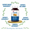 bliss-welness-cla-2000-conjugated-lenole-81JnU491nVL.jpg