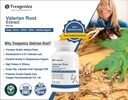 trexgenics-valerian-root-500mg-standardi-81w43sc0LjL.jpg