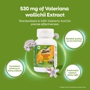 nature-s-way-alive-valerian-root-support-81D5QaT5gKL.jpg