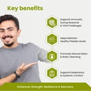 green-milk-clevira-tablets-ayurvedic-imm-71C2p15yK8L.jpg