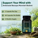 ambrosial-brahmi-500-mg-each-bacopa-monn-61qtwanr-yL.jpg