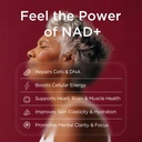 nad-supplement-for-women-nmn-alternative-71SGRWaSRUL.jpg