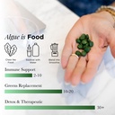 recoverybits-organic-chlorella-tablets-p-71lAAghcCgL.jpg