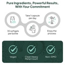 organics-ocean-better-d3-k2-vitamin-supp-61NML-j34KL.jpg