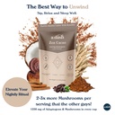 a-dash-zen-cacao-latte-chocolate-mushroo-3.jpg