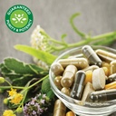 swanson-premium-brand-msm-powder---ready-4.jpg