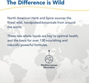 north-american-herb-spice-black-seed-oil-5.jpg