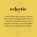 eclectic-herb---mullein-compound-oil-kid-5.jpg