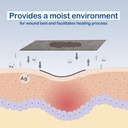 silver-calcium-alginate-dressing4-x-4-10-4.jpg