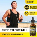 herbify-bundle---mullein-leaf-extract-va-2.jpg