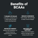 wilderness-athlete---bcaas---branched-ch-6.jpg