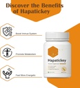turmeric-curcumin-postbiotic-supplement--4.jpg
