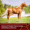 vita-flex-pro-e-5000-premium-quality-hor-4.jpg