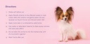 mysimplepetlab-dog-ear-infection-relief--4.jpg