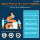 gut-health-support-bundle-2-bottles-of-w-6.jpg