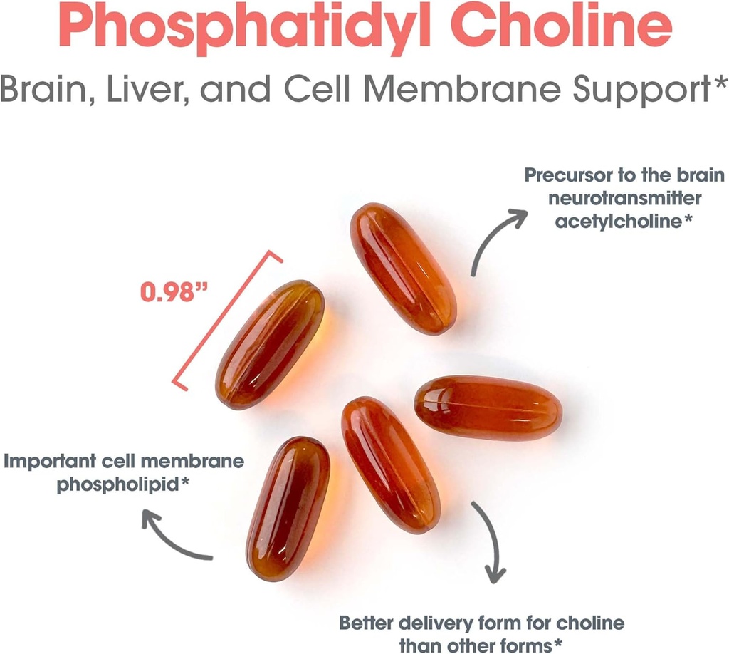 allergy-research-group-phosphadityl-chol-5.jpg
