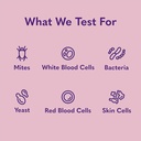 mysimplepetlab-cat-ear-infection-test-ki-6.jpg