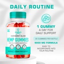 2-pack-harmony-glow-gummies-harmony-glow-2.jpg