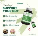 gut-completed-bundle-5.jpg