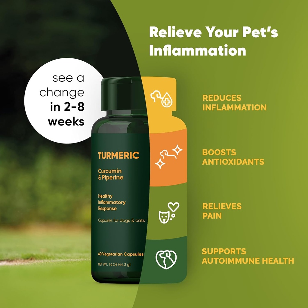 rooted-owl-turmeric---turmeric-supplemen-2.jpg