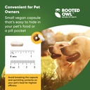 rooted-owl-turmeric---turmeric-supplemen-5.jpg