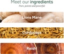mushroom-gummies-no-added-sugar-lions-ma-3.jpg