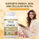 riboflavin-vitamin-b2-supplement---b-2-v-2.jpg