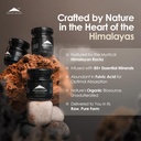 pure-himalayan-organic-shilajit-resin-su-4.jpg