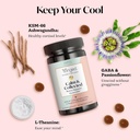 winged-wellness-calm-collected-stress-re-3.jpg