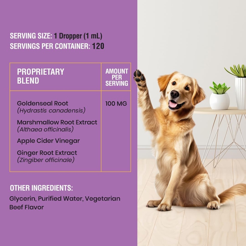 yeast-infection-treatment-for-dogs---4-o-5.jpg