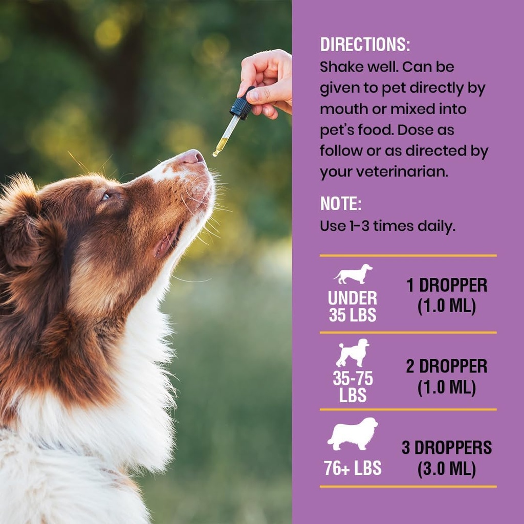 yeast-infection-treatment-for-dogs---4-o-6.jpg