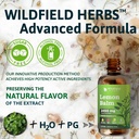 2-lemon-balm-extract-drops-liquid-2000mg-6.jpg