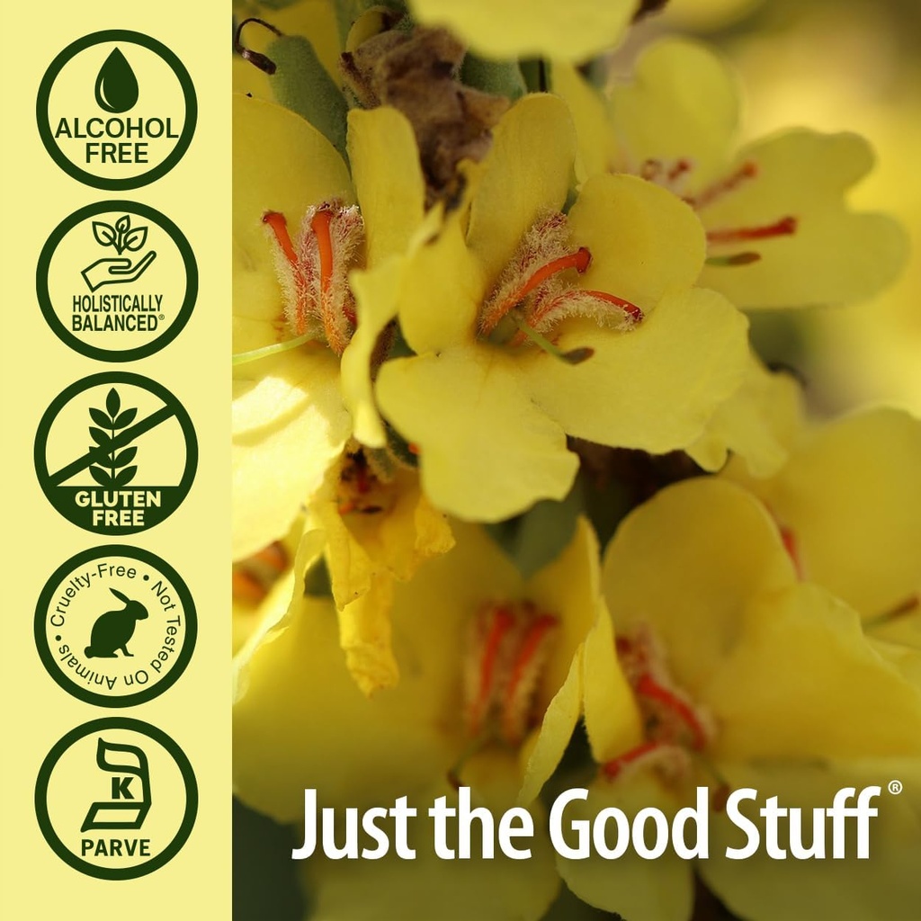 natures-answer-alcohol-free-mullein-flow-5.jpg