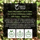organic-way-hawthorn-leaf-and-flower-cut-4.jpg