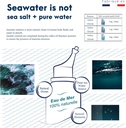daily-saline-all-natural-seawater-nasal--4.jpg