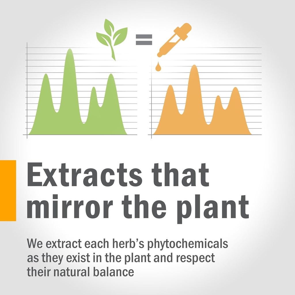 herb-pharm-certified-organic-lobelia-liq-4.jpg