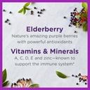 zarbees-elderberry-syrup-for-kids-daily--2.jpg