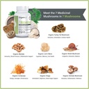 organixx-7-mushroom-organic-mushroom-sup-4.jpg