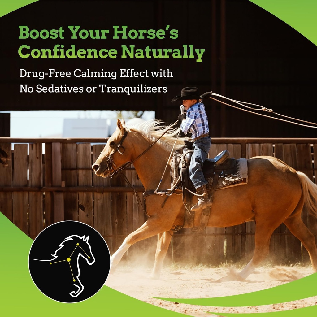 synchill-af-calming-gel-for-nervous-hors-5.jpg