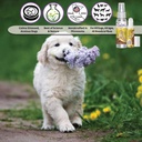 the-blissful-dog-golden-retriever-relax--2.jpg