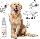 the-blissful-dog-golden-retriever-relax--4.jpg