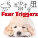 the-blissful-dog-golden-retriever-relax--5.jpg