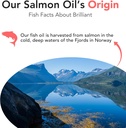 brilliant-salmon-oil-for-dogs-cats-puppi-5.jpg