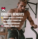 xwerks-build-creatine-gummies-for-men-an-3.jpg