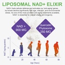 nad-supplement-900mg-liposomal-nicotinam-3.jpg