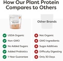 global-healing-vegan-vanilla-plant-based-3.jpg